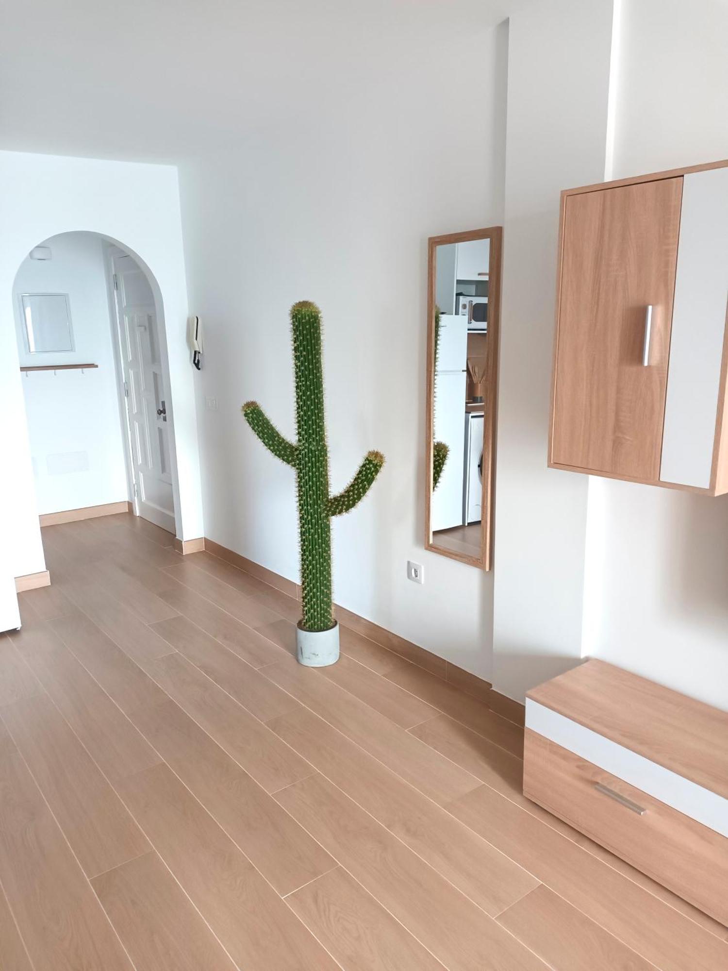 Tabaiba Modern Open-Plan Studio With Terrace And Sea View מראה חיצוני תמונה
